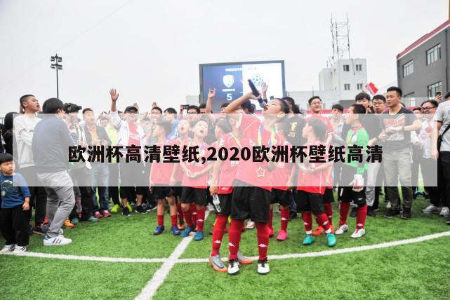 欧洲杯高清壁纸,2020欧洲杯壁纸高清