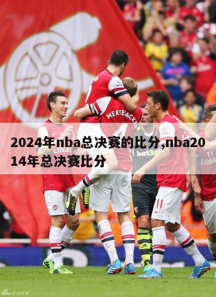 2024年nba总决赛的比分,nba2014年总决赛比分