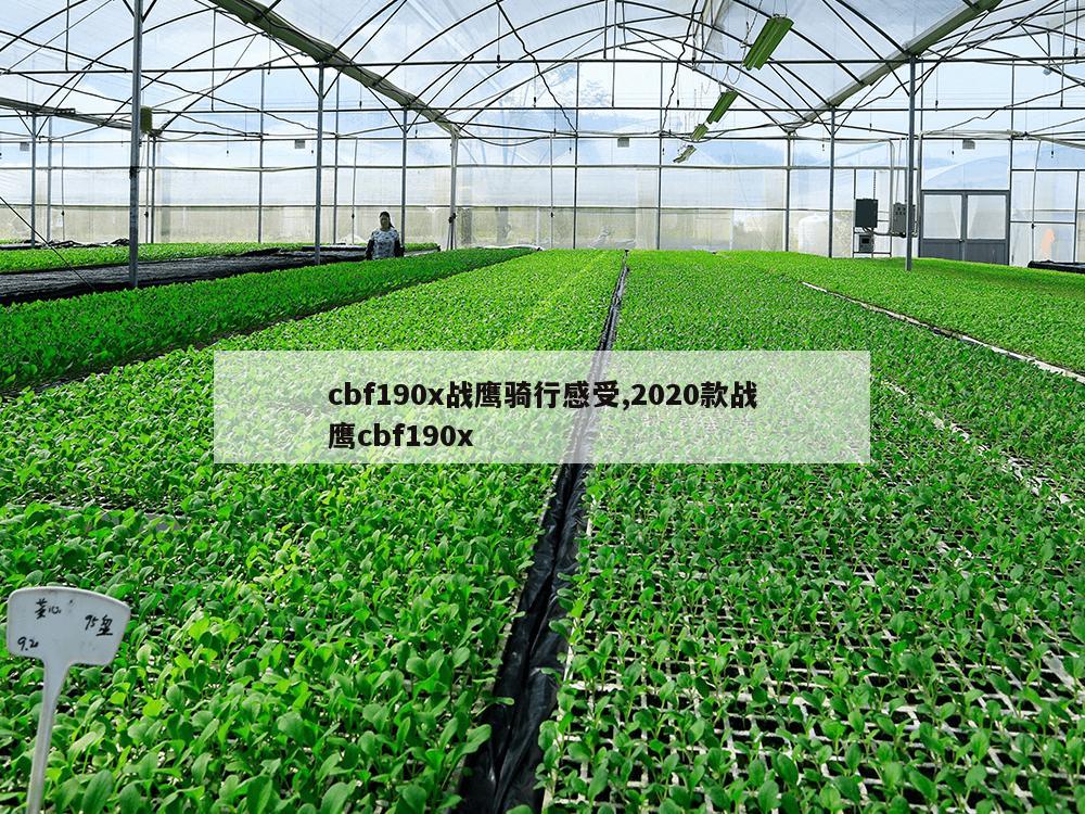 cbf190x战鹰骑行感受,2020款战鹰cbf190x