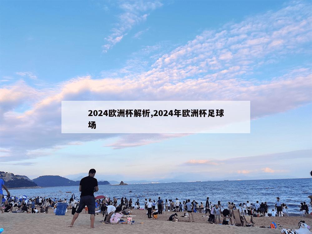 2024欧洲杯解析,2024年欧洲杯足球场