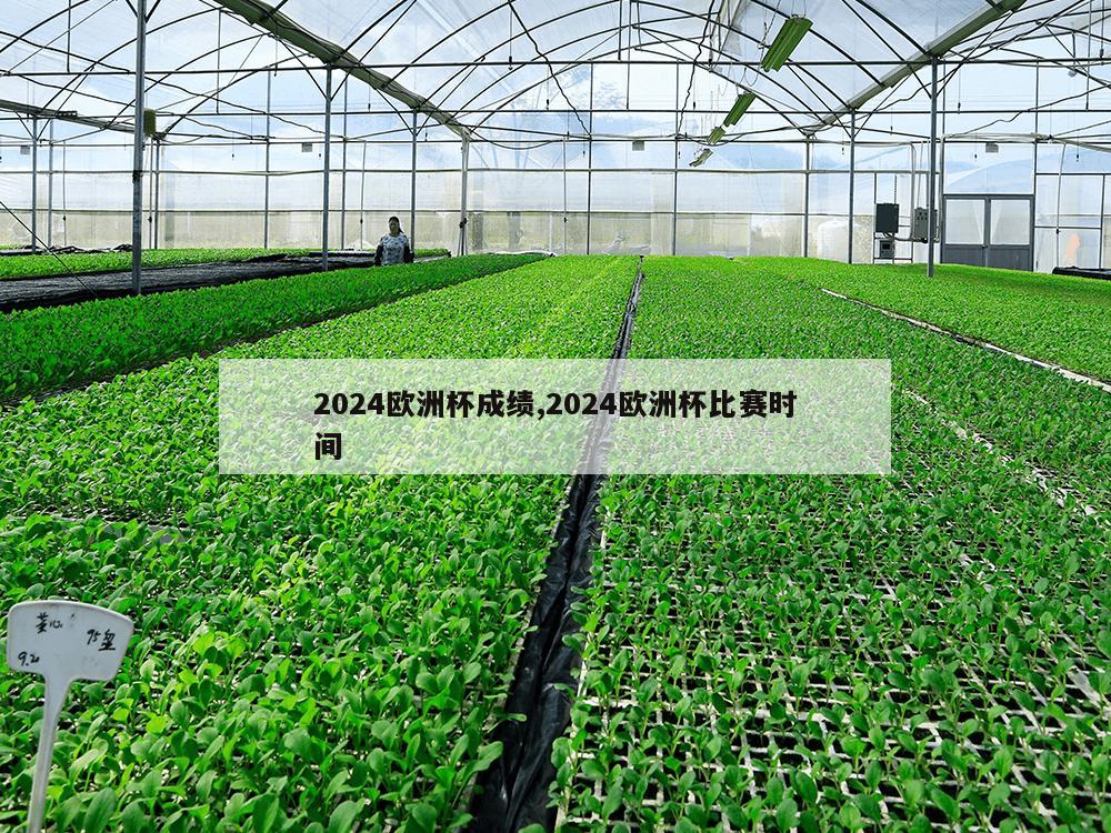 2024欧洲杯成绩,2024欧洲杯比赛时间