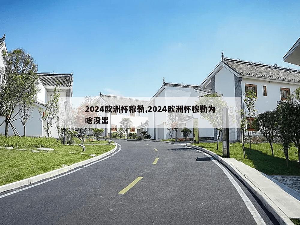 2024欧洲杯穆勒,2024欧洲杯穆勒为啥没出