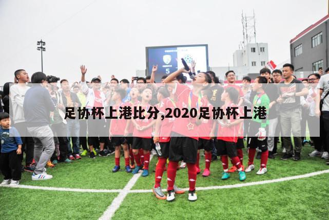 足协杯上港比分,2020足协杯上港